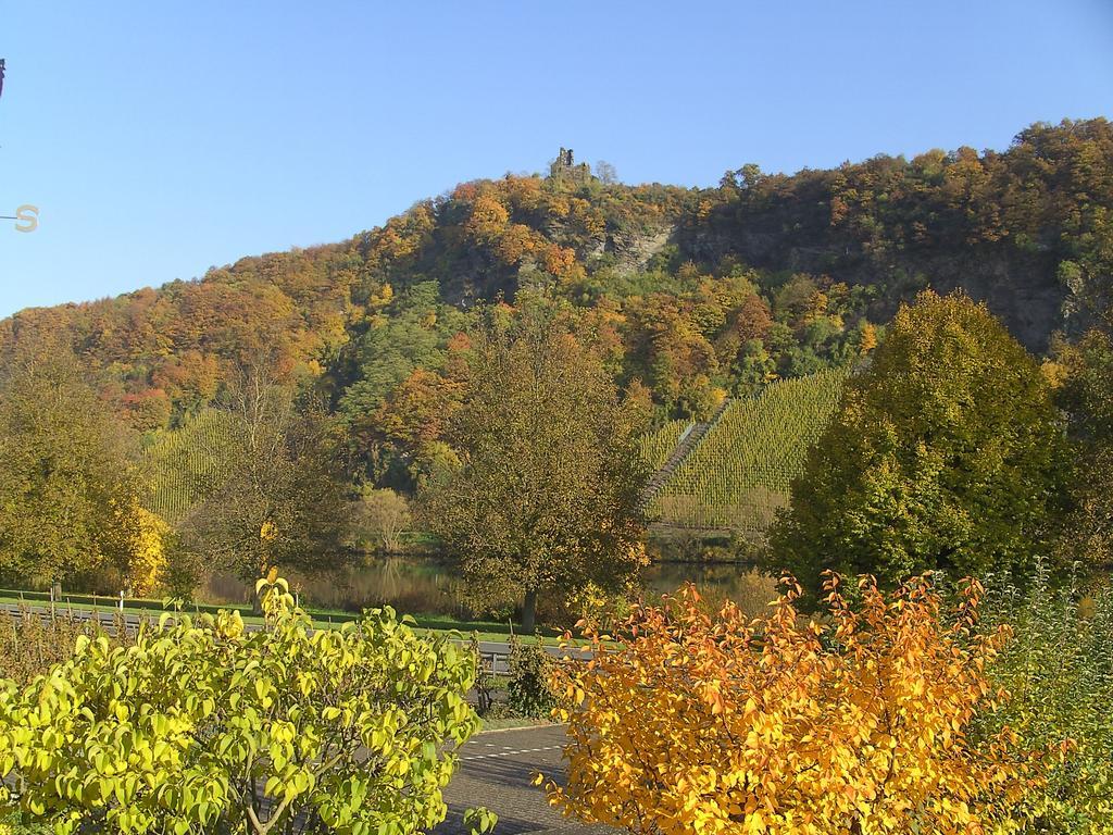 Haus Klosterblick Kröv Eksteriør bilde