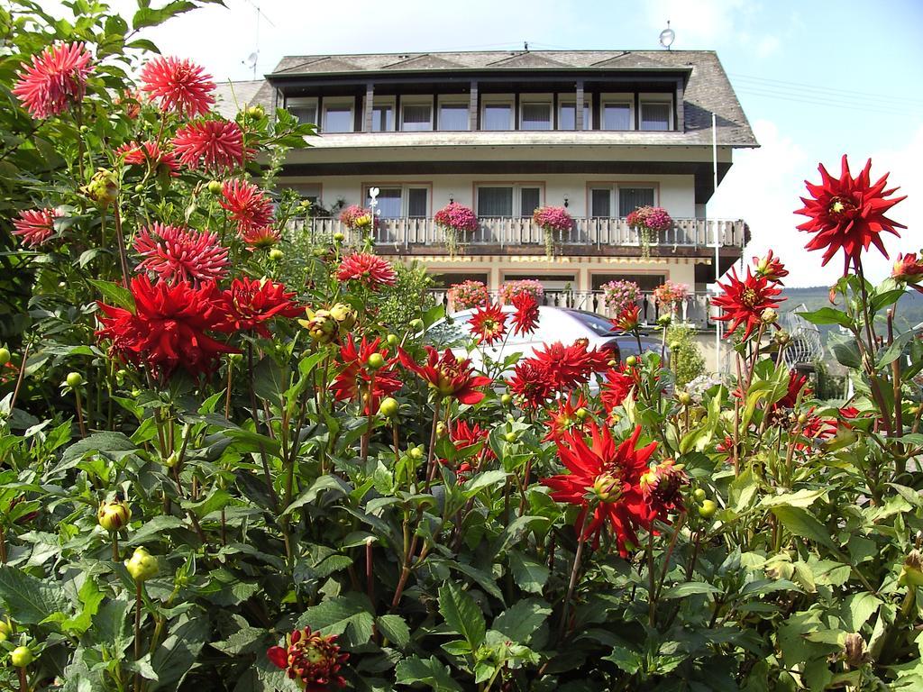 Haus Klosterblick Kröv Eksteriør bilde